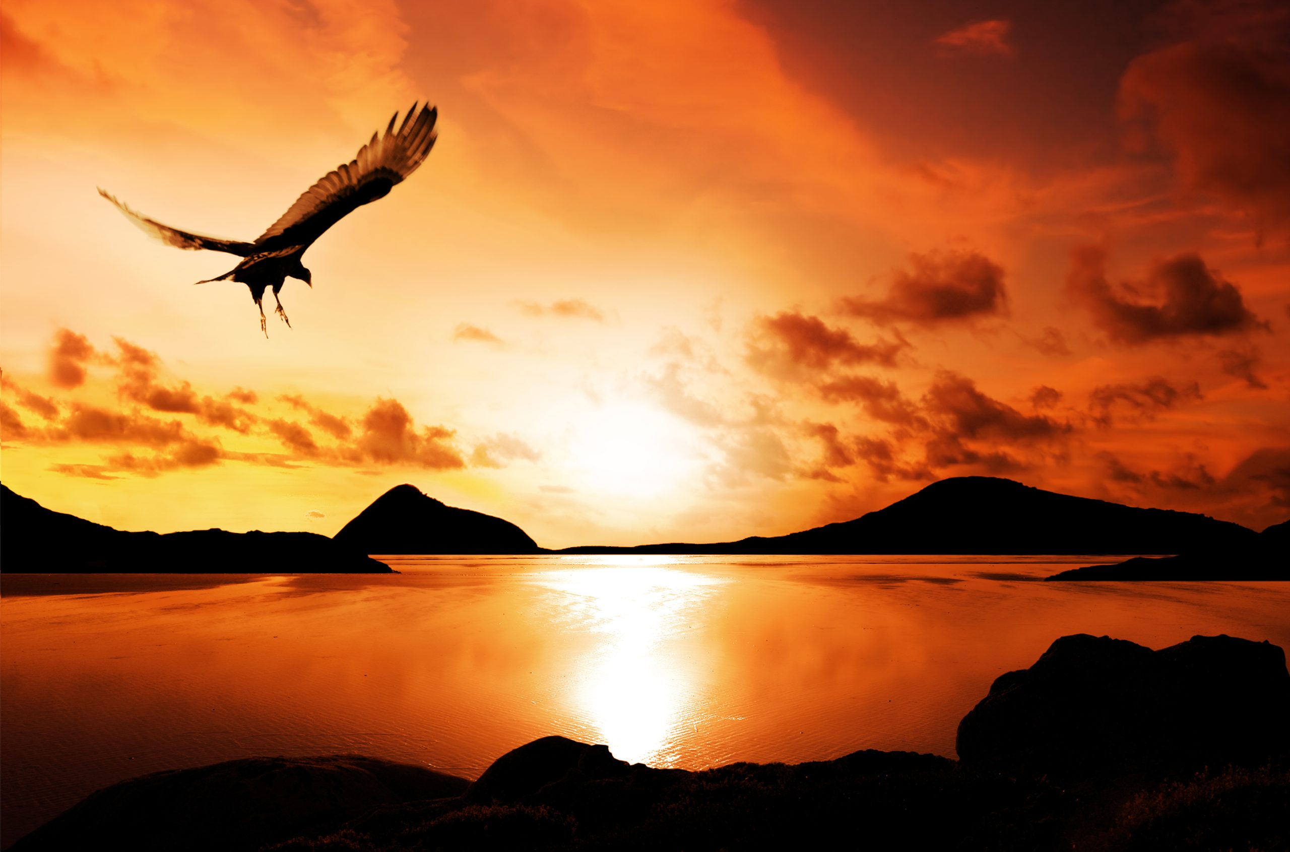 Soaring eagle against a beautiful sunset. This is showing the importance of a great visual as part of your video strategies